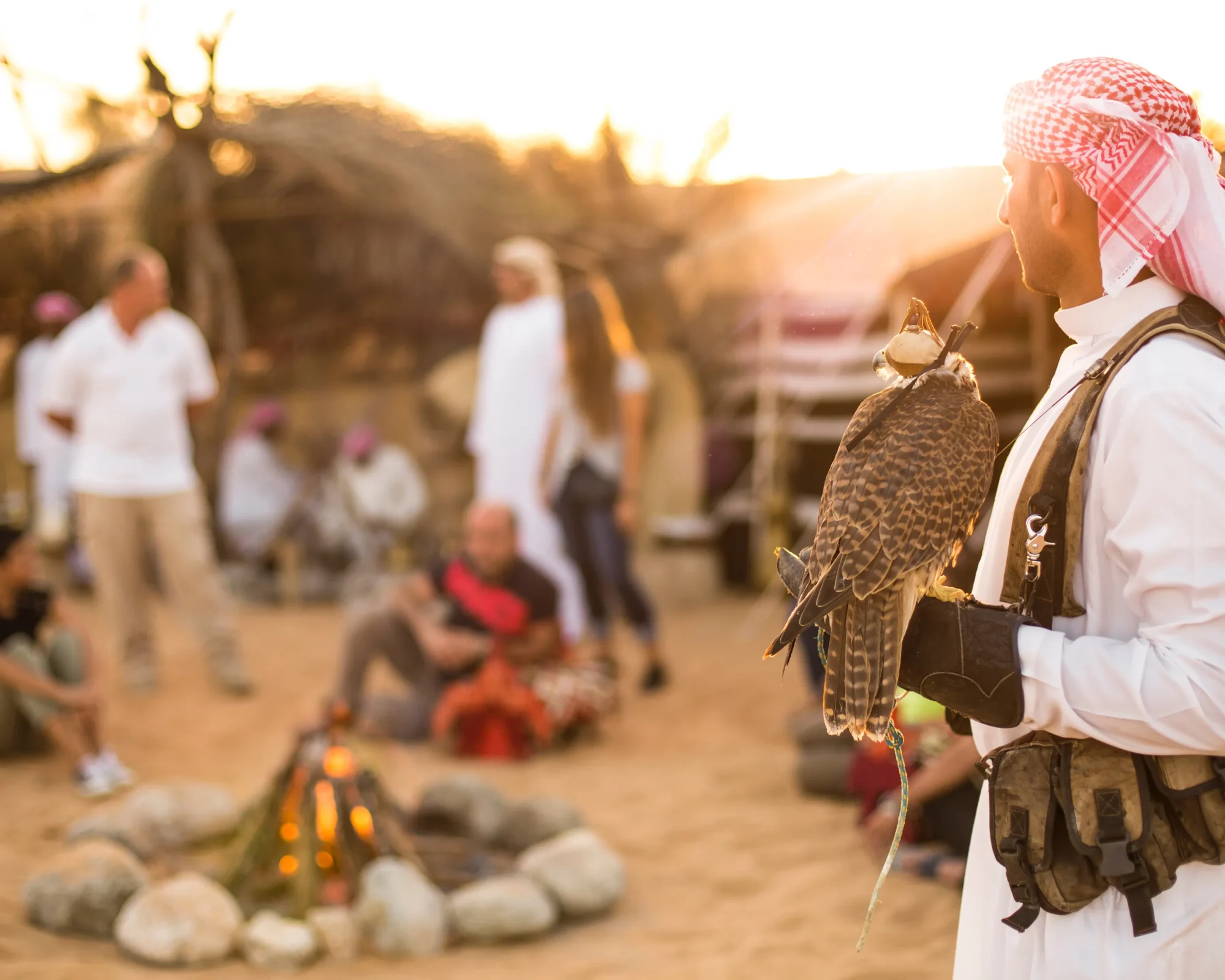 desert safari booking dubai | dubai desert safari