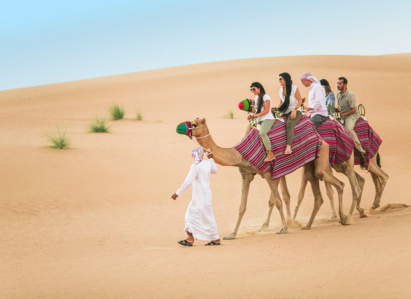 Camel Safari in Dubai Desert
