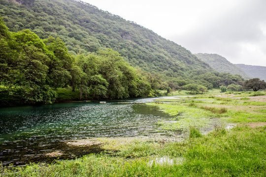 360_F_223769942_KyhVtUREhj7Ik8W2IHtyEXbORXolw1K7 Salalah Trip from Dubai